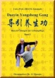Daoyin Yangsheng Gong Lehrbuch - 4. Auflage